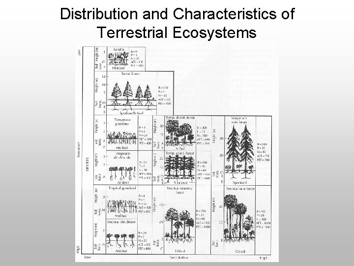 Distribution and Characteristics of Terrestrial Ecosystems 
