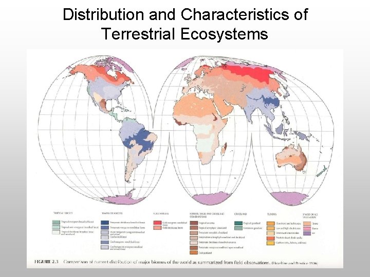 Distribution and Characteristics of Terrestrial Ecosystems 