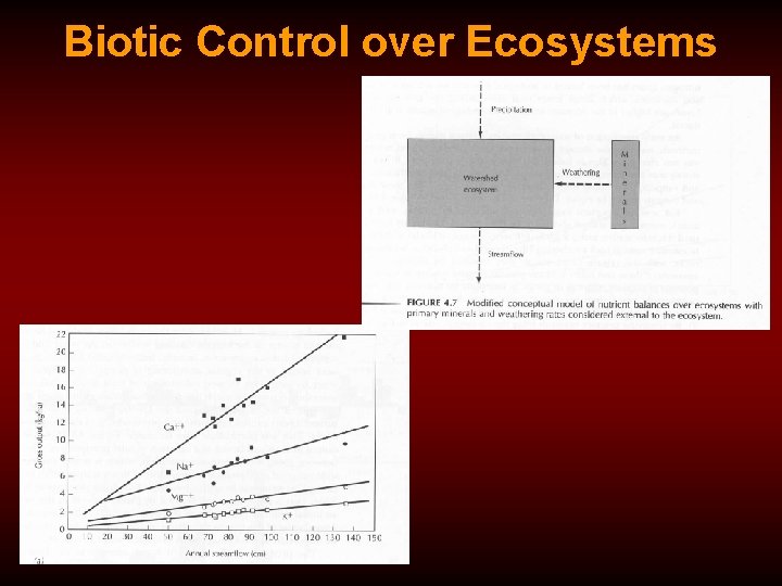 Biotic Control over Ecosystems 