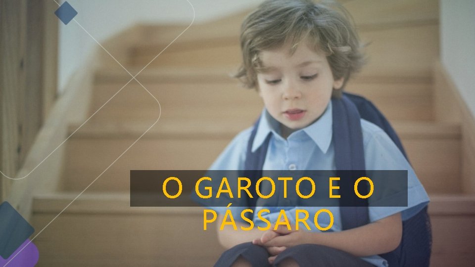 O GAROTO E O PÁSSARO O GAROTO E O PÁSSARO