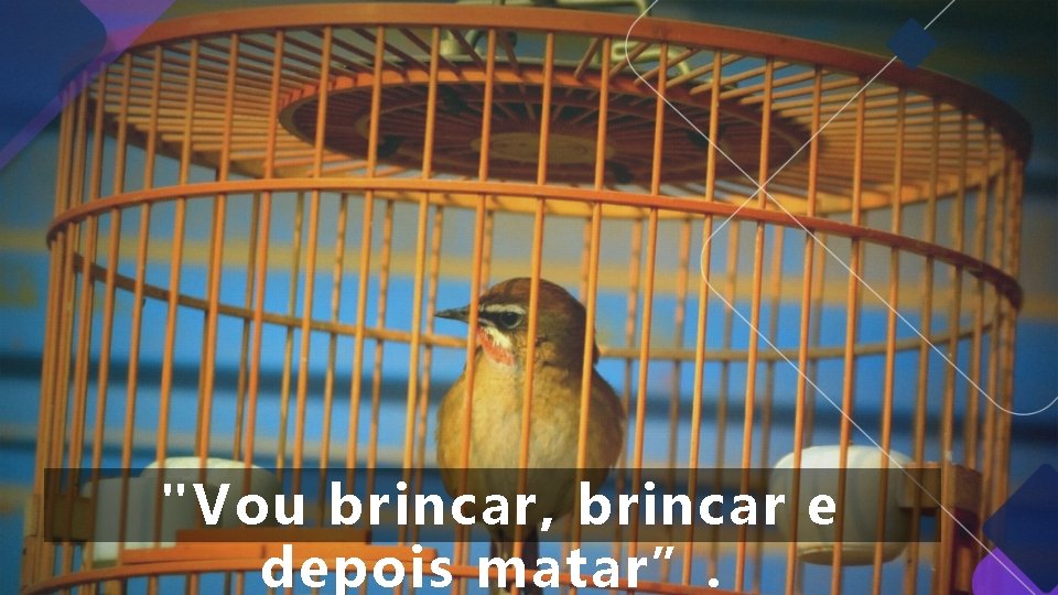 "Vou brincar, brincar e depois matar”. "Vou brincar, brincar e depois matar”.