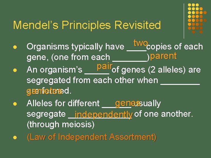 Mendel’s Principles Revisited l l two Organisms typically have ____copies of each gene, (one