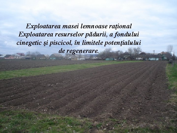 Exploatarea masei lemnoase raţional Exploatarea resurselor pădurii, a fondului cinegetic şi piscicol, în limitele