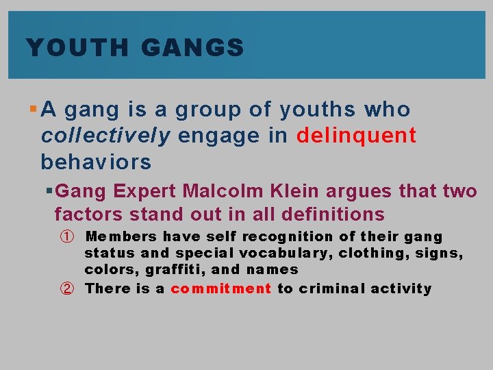 YOUTH GANGS § A gang is a group of youths who collectively engage in