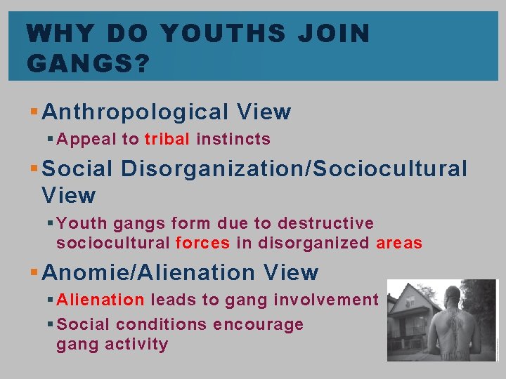 WHY DO YOUTHS JOIN GANGS? § Anthropological View § Appeal to tribal instincts §