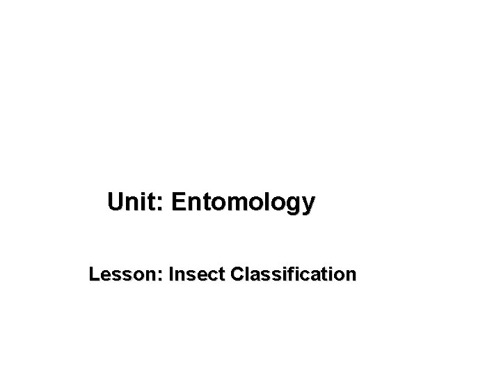 Unit: Entomology Lesson: Insect Classification 