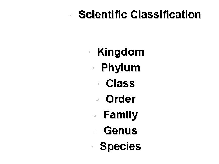  • Scientific Classification • Kingdom • Phylum • Class • Order • Family