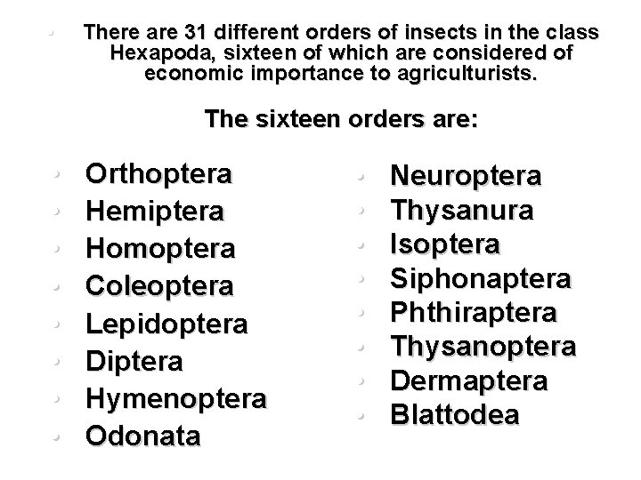  • There are 31 different orders of insects in the class Hexapoda, sixteen