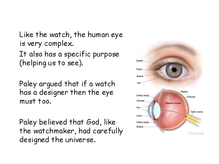 Like the watch, the human eye is very complex. It also has a specific