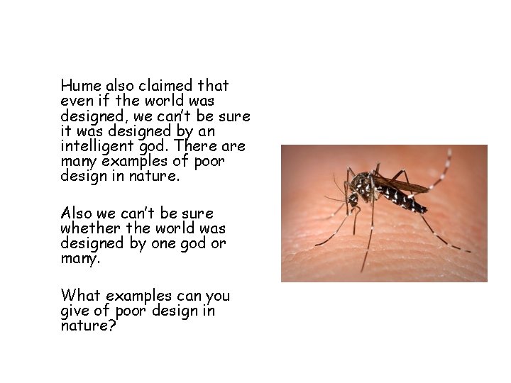 Hume also claimed that even if the world was designed, we can’t be sure
