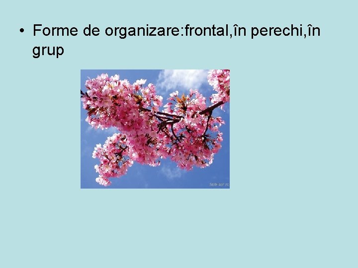  • Forme de organizare: frontal, în perechi, în grup 