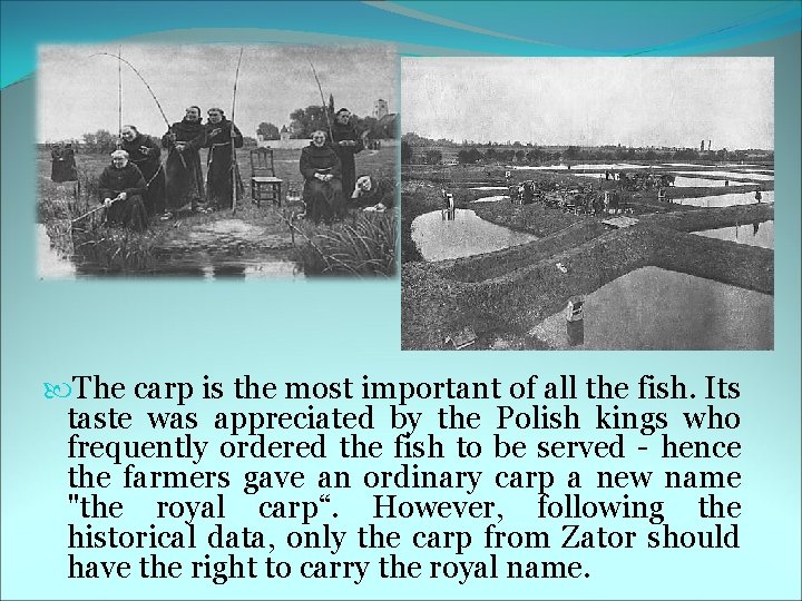  The carp is the most important of all the fish. Its taste was