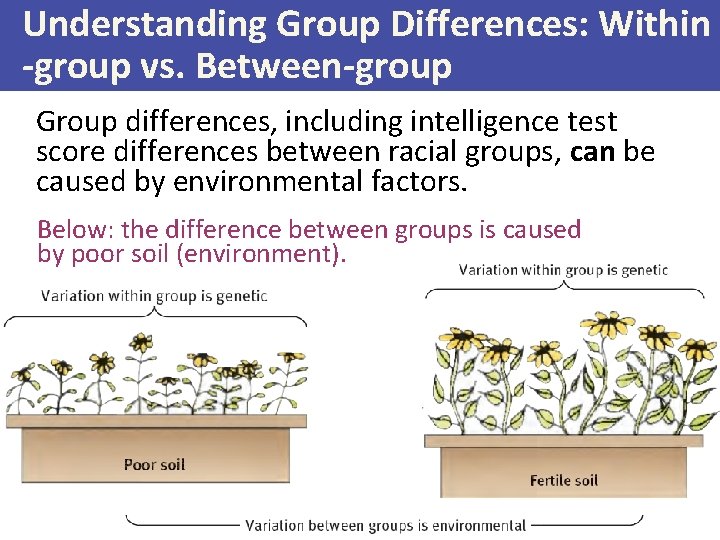 Understanding Group Differences: Within -group vs. Between-group Group differences, including intelligence test score differences