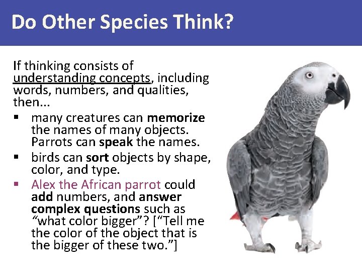 Do Other Species Think? If thinking consists of understanding concepts, including words, numbers, and