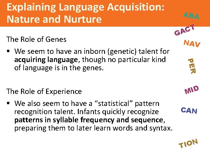 Explaining Language Acquisition: Nature and Nurture CT A G NAV PER The Role of