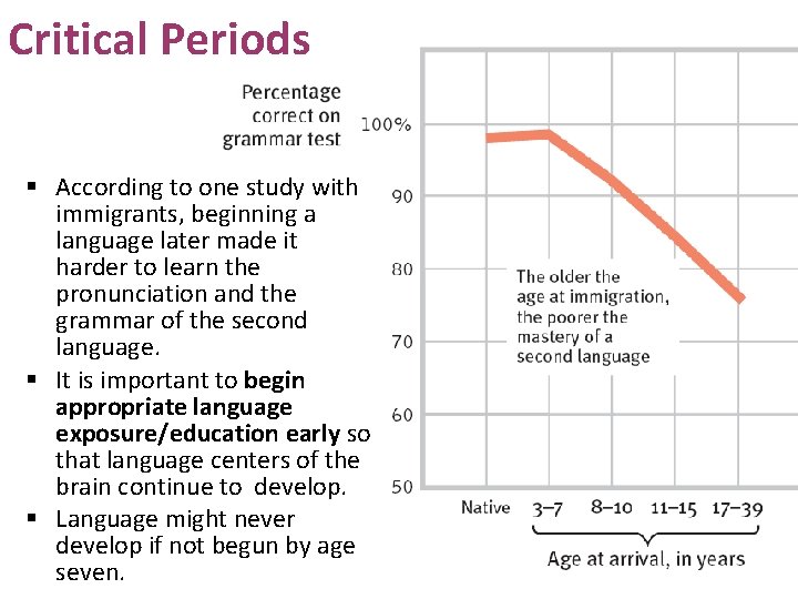 Critical Periods § According to one study with immigrants, beginning a language later made