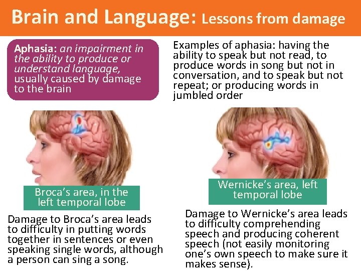 Brain and Language: Lessons from damage Aphasia: an impairment in the ability to produce