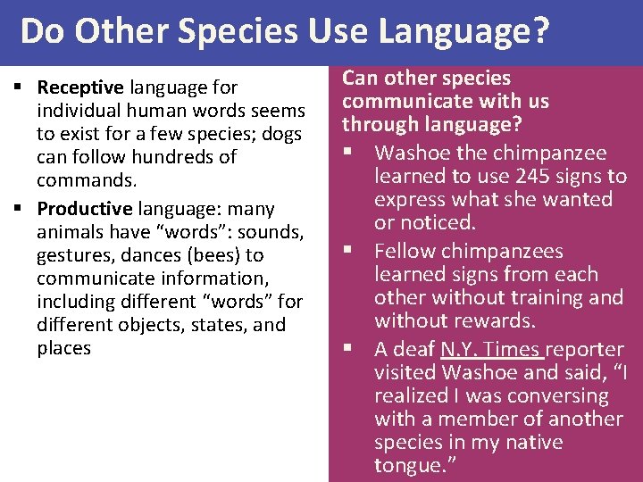Do Other Species Use Language? § Receptive language for individual human words seems to
