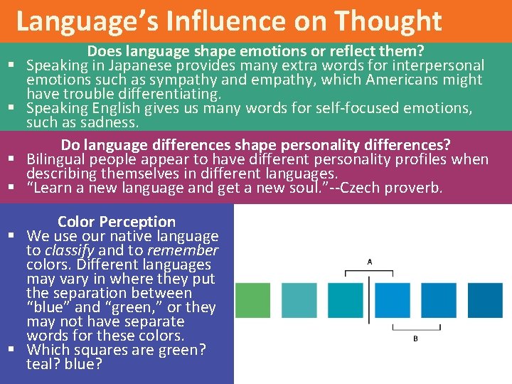 Language’s Influence on Thought § § Does language shape emotions or reflect them? Speaking