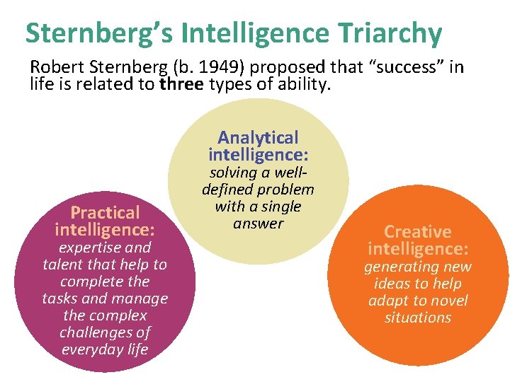 Sternberg’s Intelligence Triarchy Robert Sternberg (b. 1949) proposed that “success” in life is related