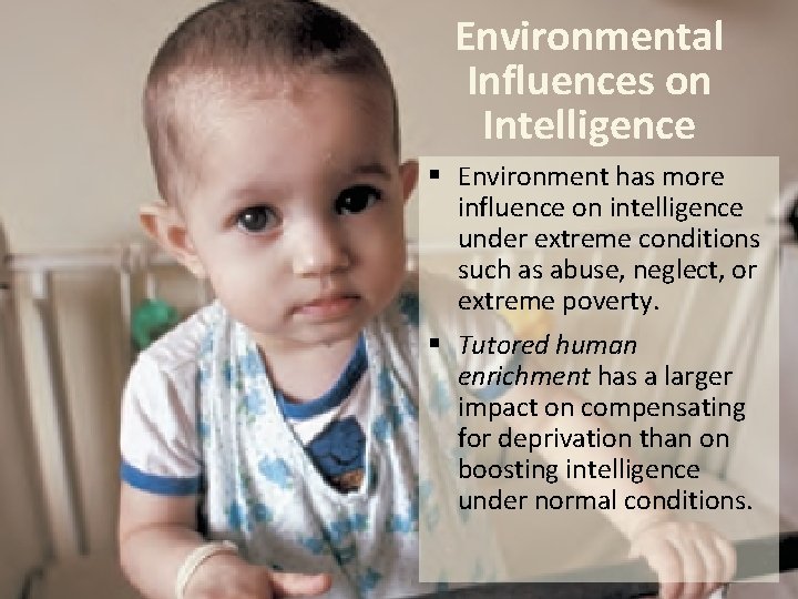 Environmental Influences on Intelligence § Environment has more influence on intelligence under extreme conditions