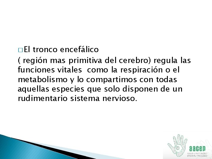 � El tronco encefálico ( región mas primitiva del cerebro) regula las funciones vitales