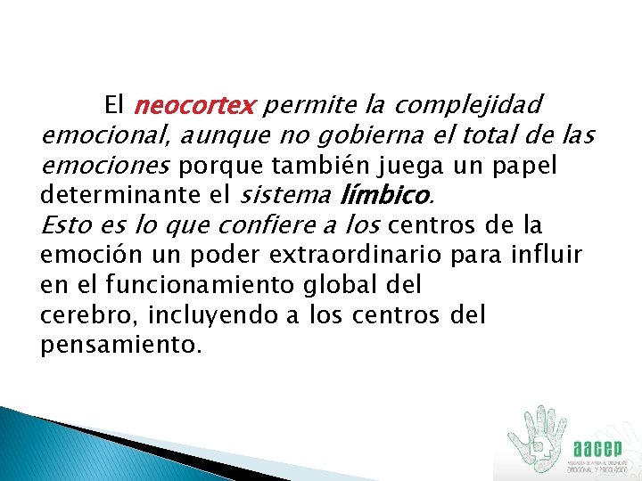 El neocortex permite la complejidad emocional, aunque no gobierna el total de las emociones