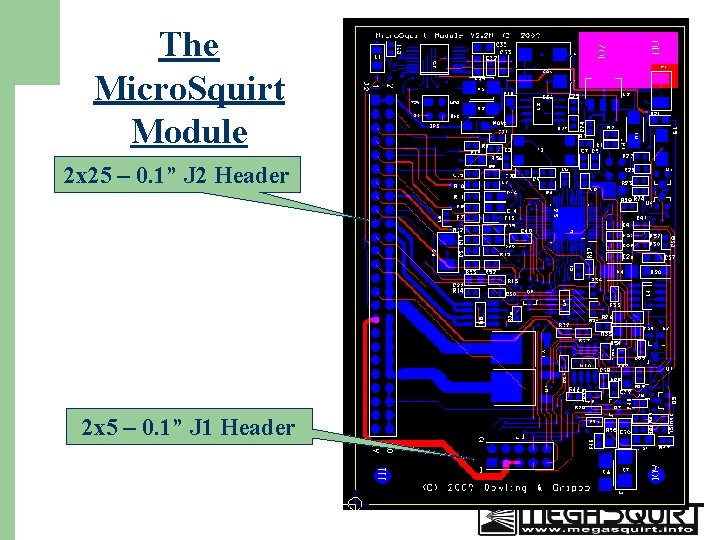 The Micro. Squirt Module 2 x 25 – 0. 1” J 2 Header 2