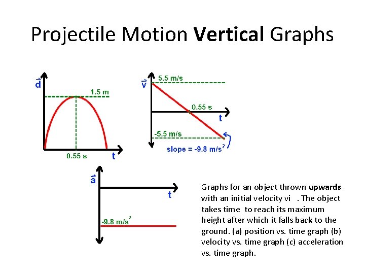 Projectile Motion Vertical Graphs for an object thrown upwards with an initial velocity vi