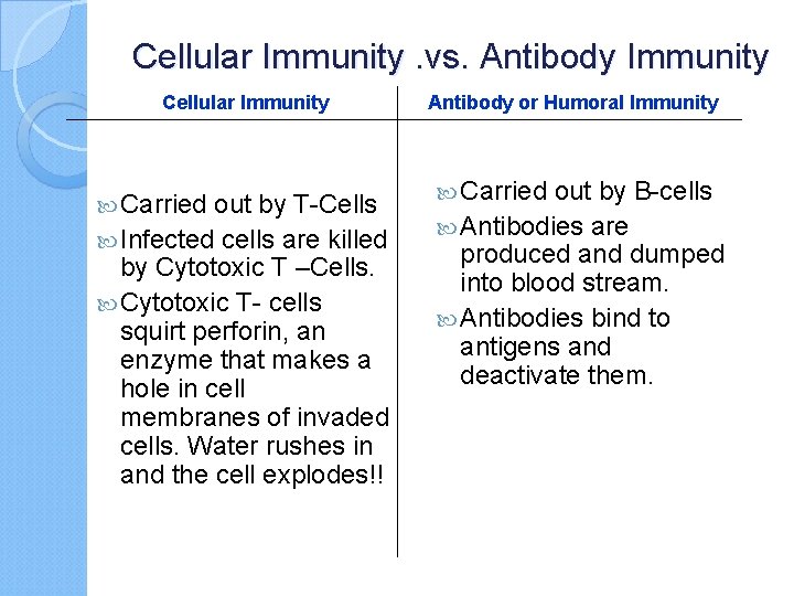 Cellular Immunity. vs. Antibody Immunity Cellular Immunity Carried out by T-Cells Infected cells are