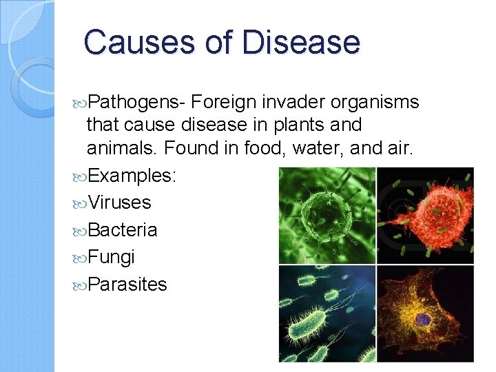 Causes of Disease Pathogens- Foreign invader organisms that cause disease in plants and animals.