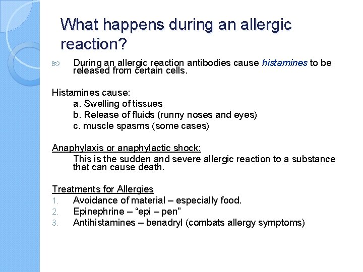 What happens during an allergic reaction? During an allergic reaction antibodies cause histamines to