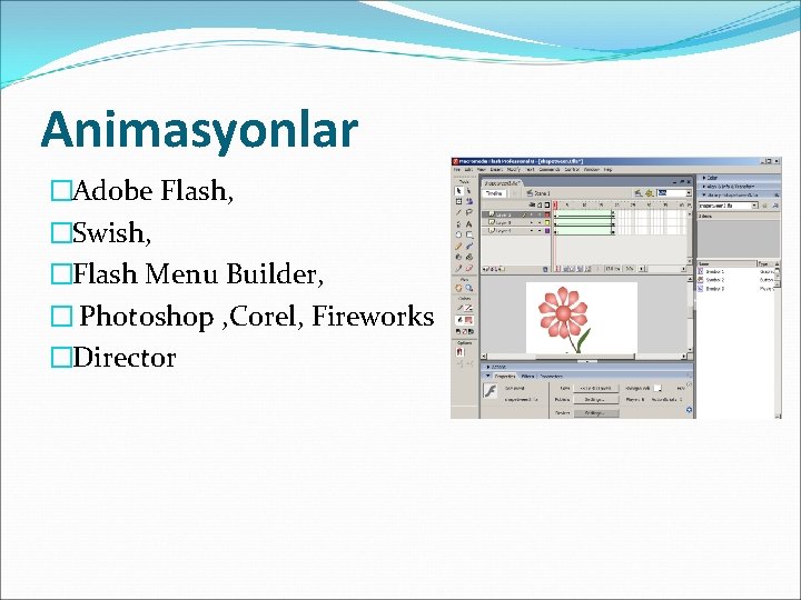 Animasyonlar �Adobe Flash, �Swish, �Flash Menu Builder, � Photoshop , Corel, Fireworks �Director 