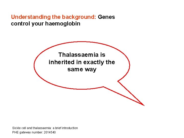 Understanding the background: Genes control your haemoglobin Thalassaemia is inherited in exactly the same