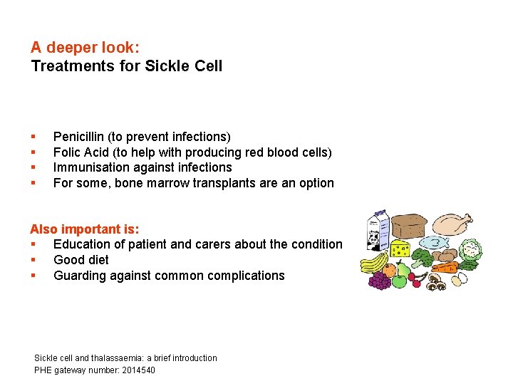 A deeper look: Treatments for Sickle Cell § § Penicillin (to prevent infections) Folic