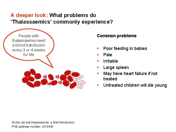 A deeper look: What problems do ‘Thalassaemics’ commonly experience? People with thalassaemia need a