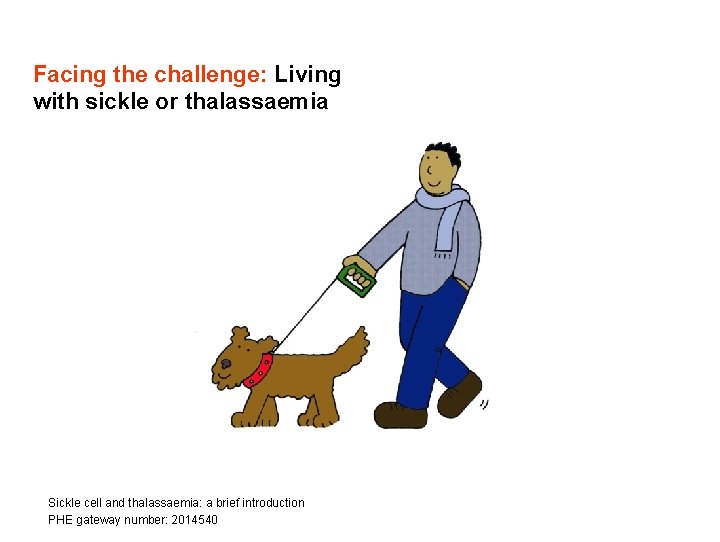 Facing the challenge: Living with sickle or thalassaemia Sickle cell and thalassaemia: a brief