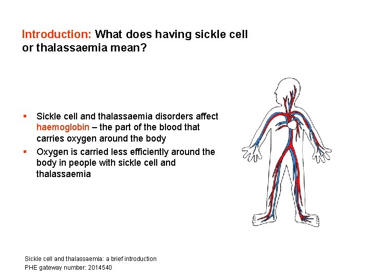 Introduction: What does having sickle cell or thalassaemia mean? § § Sickle cell and