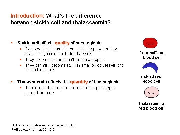 Introduction: What’s the difference between sickle cell and thalassaemia? § Sickle cell affects quality