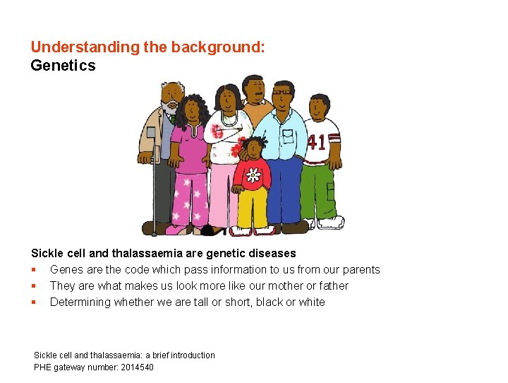 Understanding the background: Genetics Sickle cell and thalassaemia are genetic diseases § Genes are