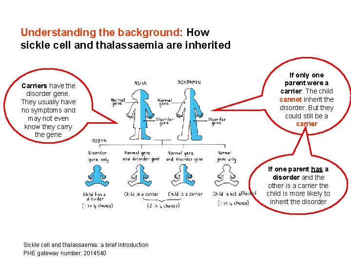 Understanding the background: How sickle cell and thalassaemia are inherited Carriers have the disorder