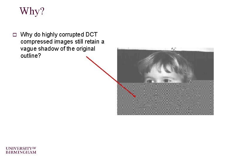 Why? o Why do highly corrupted DCT compressed images still retain a vague shadow