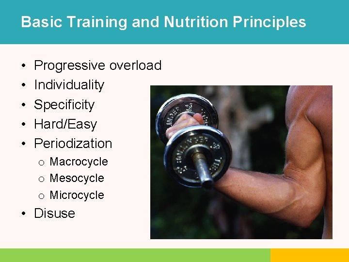 Basic Training and Nutrition Principles • • • Progressive overload Individuality Specificity Hard/Easy Periodization