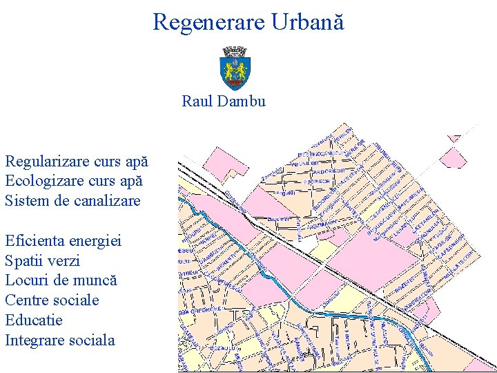 Regenerare Urbană Raul Dambu Regularizare curs apă Ecologizare curs apă Sistem de canalizare Eficienta