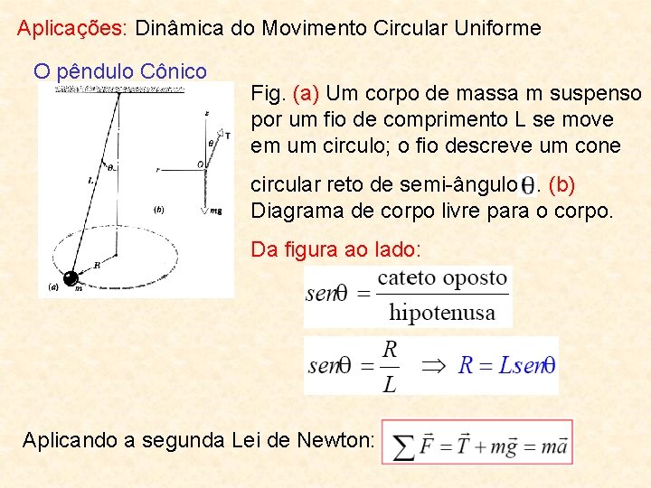 Aplicações: Dinâmica do Movimento Circular Uniforme O pêndulo Cônico Fig. (a) Um corpo de