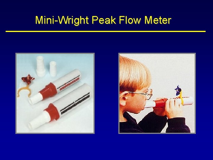 Mini-Wright Peak Flow Meter 