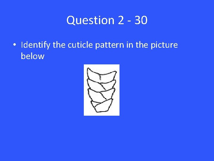 Question 2 - 30 • Identify the cuticle pattern in the picture below 