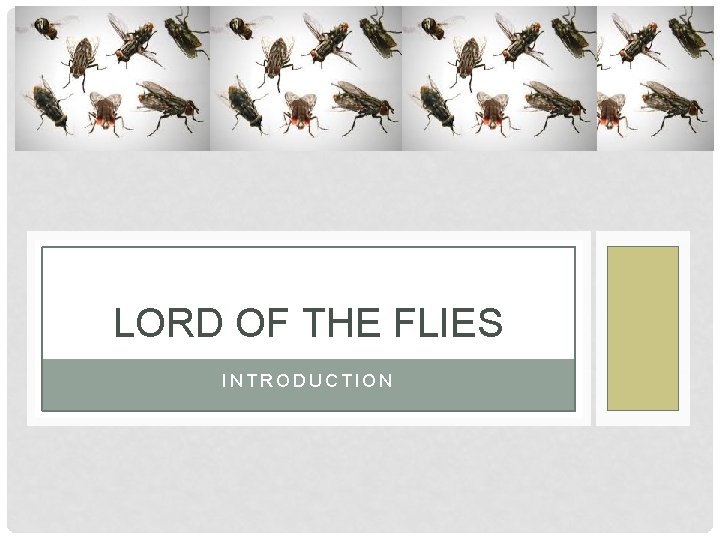 LORD OF THE FLIES INTRODUCTION 