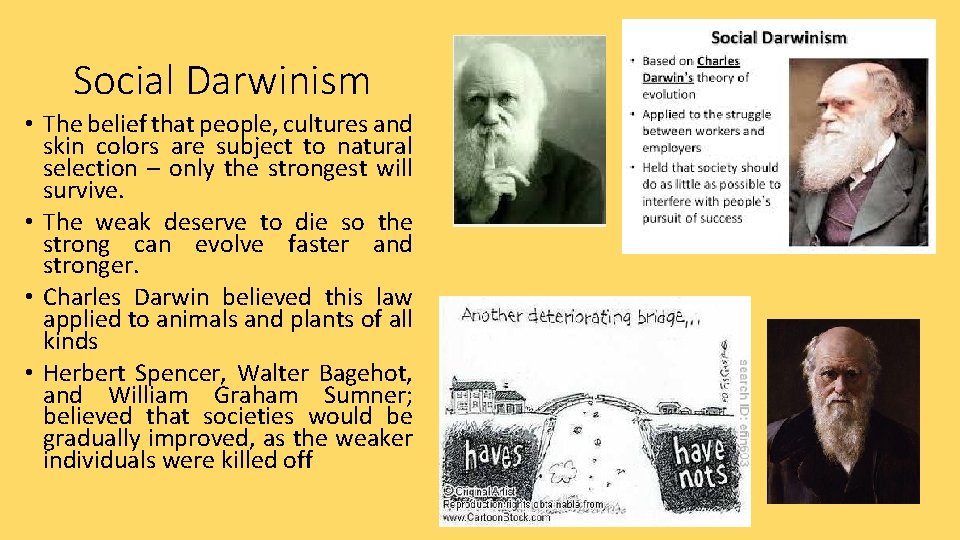 Social Darwinism • The belief that people, cultures and skin colors are subject to