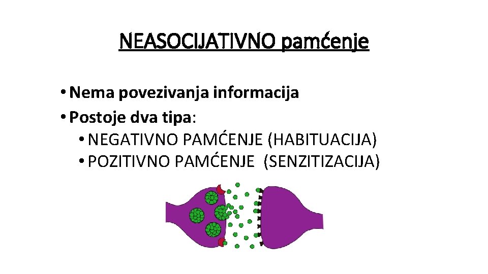 NEASOCIJATIVNO pamćenje • Nema povezivanja informacija • Postoje dva tipa: • NEGATIVNO PAMĆENJE (HABITUACIJA)